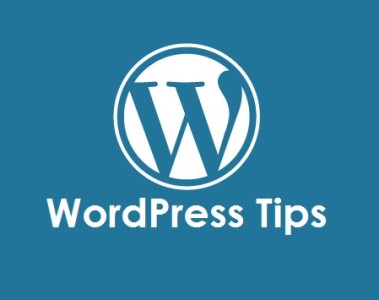 5 Sites For WordPress Tips
